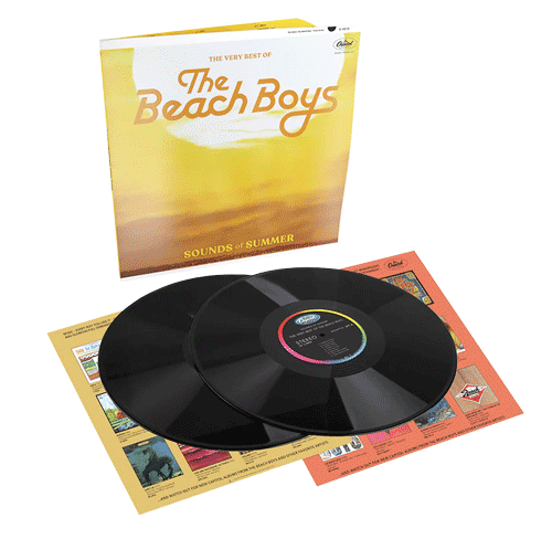 Beach Boys Sounds of Summer 2-LP set